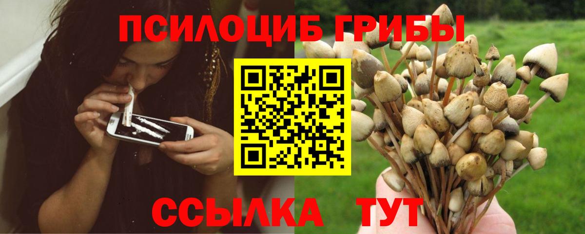 Псилоцибиновые грибы мухоморы  Вход с VPN  Ульяновск 